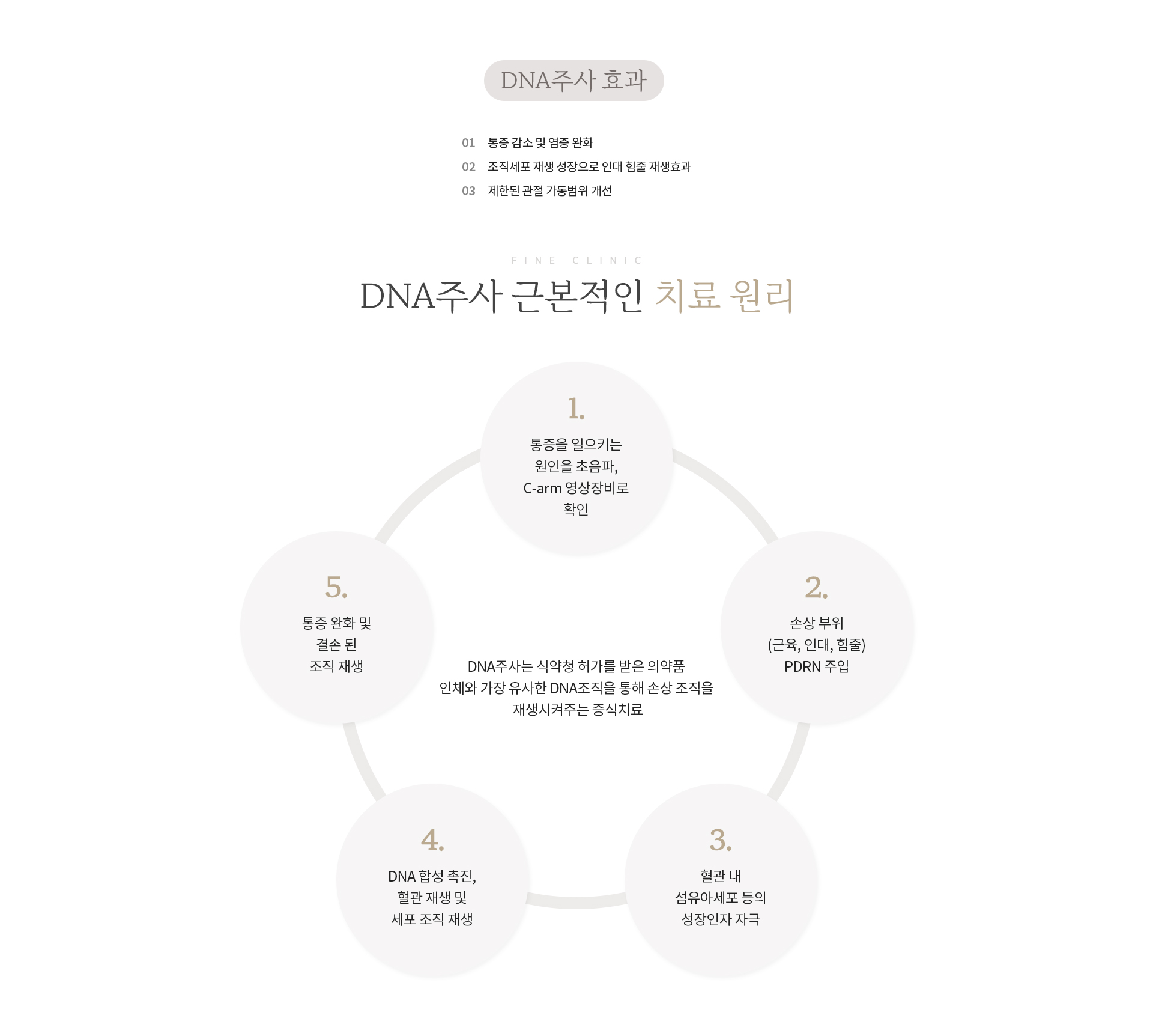 DNA주사 효과치료원리